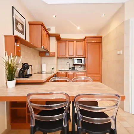 公寓 Spacious Victus With Parking And Balcony In By Renters 索波特